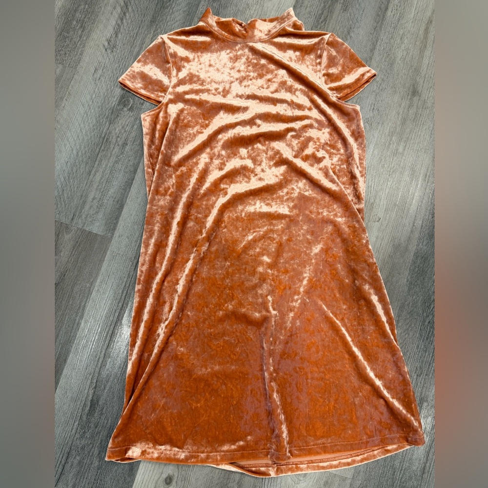 Madewell Velvet Dress in Soft Pink and Rust